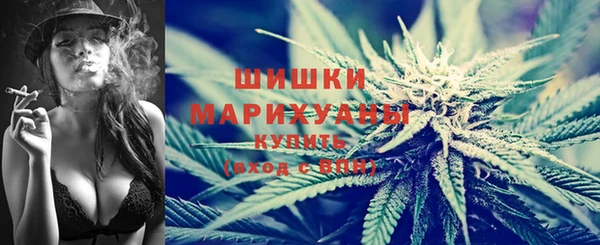 спайс Алзамай