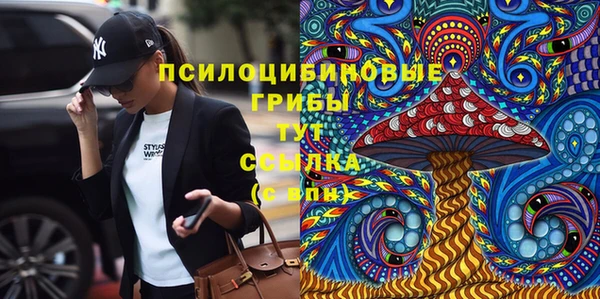 меф Алексин