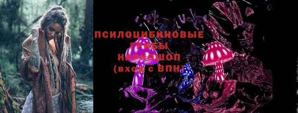 спайс Алзамай