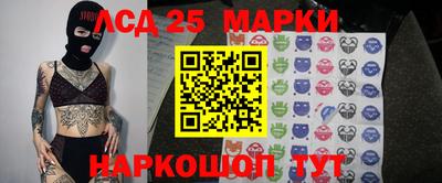 гашик Брянск
