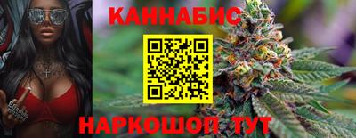 гашик Брянск