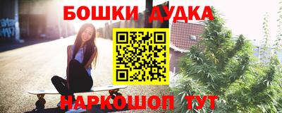 гашик Брянск